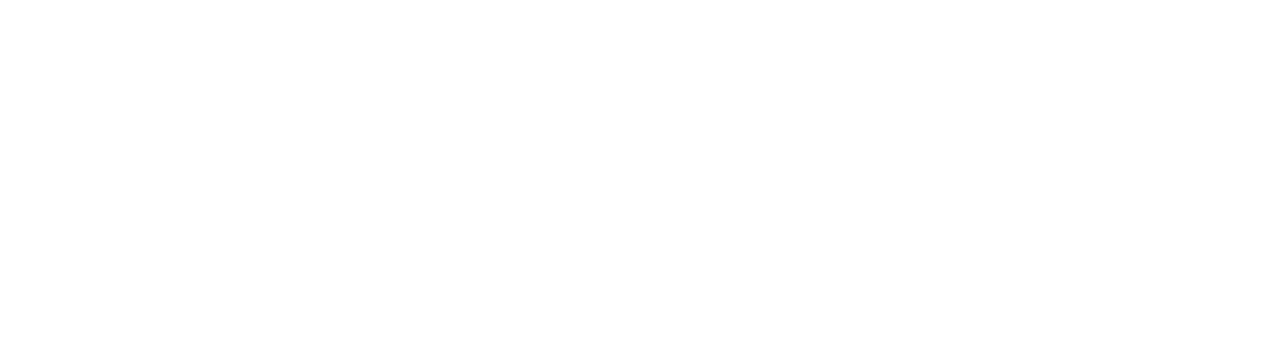 ČCDV_Logo_Negativ